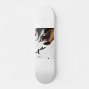 Skate Alasca - Grizzly 3