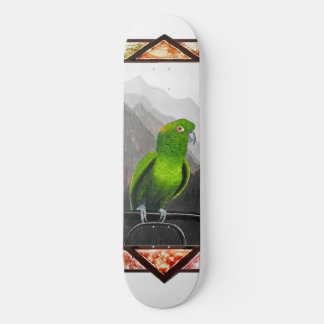 Skate Aldo Meu Papagaio Amazon