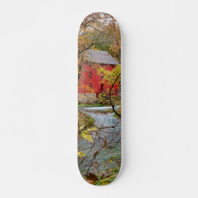 Skate Alley Through The Woods (Frente)