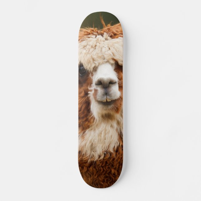Skate Alpaca (Frente)