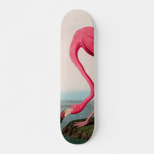 Skate American Flamingo Birds of America Audubon Impress