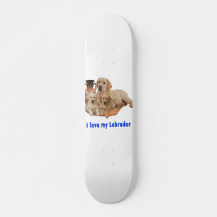 Skate Amo o meu Labrador