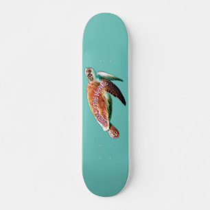 Skate animal aquático