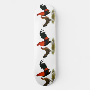 Skate Antigos Bantams de Jogo Inglês:  BB Red Pair