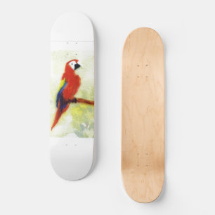 Skate Arte colorida do pássaro do Macaw