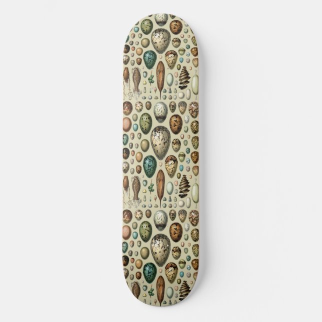 Skate Arte de Ovos de Pássaros da Academia Sombria Vinta (Frente)