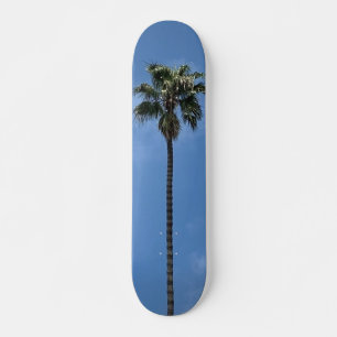 Skate Árvore Palm Azul