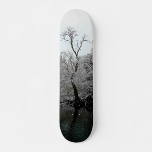 Skate Árvores, na água