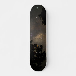Skate Árvores Via Látea