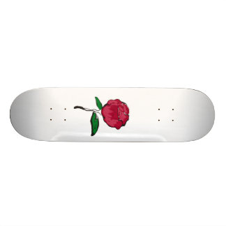 Skate aumentou
