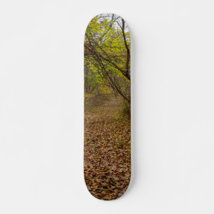 Skate Autumn Walkway