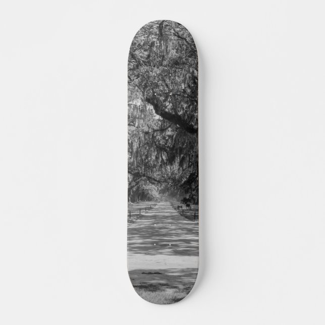 Skate Avenida de Carvalhos em Tons de Cinza (Frente)