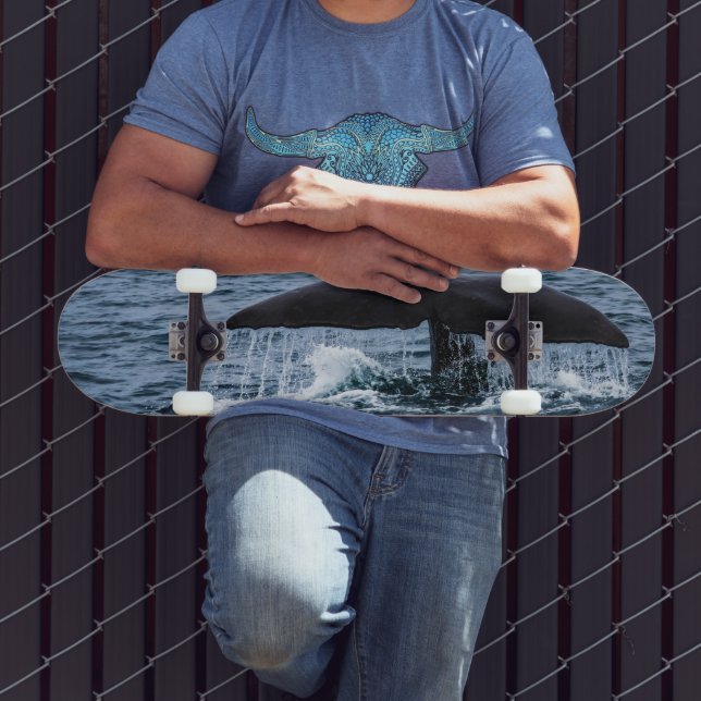 Skate Baleia de esperma (Ao ar livre 3)