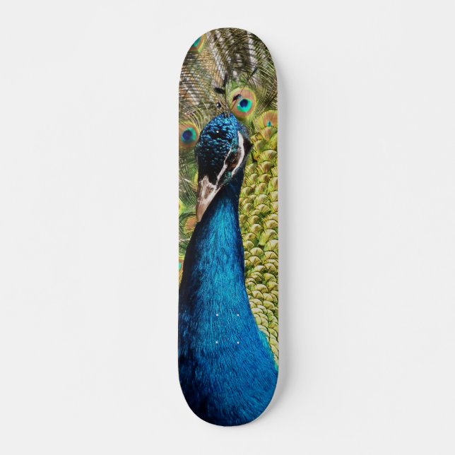 Skate Bashful Peacock (Frente)
