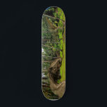 Skate Batalha de Fantasy T-Rex Tyrannosaurus Dragon<br><div class="desc">Este design pode ser personalizado escolhendo a opção personalizar para adicionar texto ou fazer outras alterações. Se este produto tiver a opção de transferir o design para outro item, certifique-se de ajustar o design para o ajustado, se necessário. Entre em contato comigo em colorflowcreations@gmail.com se desejar usar este design em...</div>