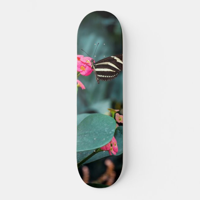 Skate Bela borboleta em uma flor rosa (Frente)