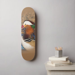 Skate Bela Chatty Pato Mandarim nas Rochas