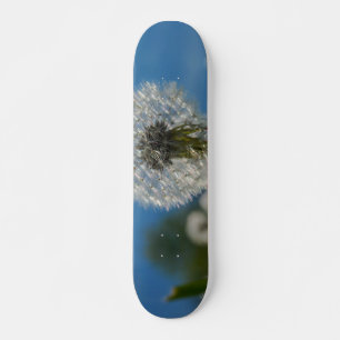 Skate Beleza De Um Dandelion