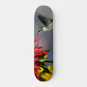 Skate Beleza do colibri