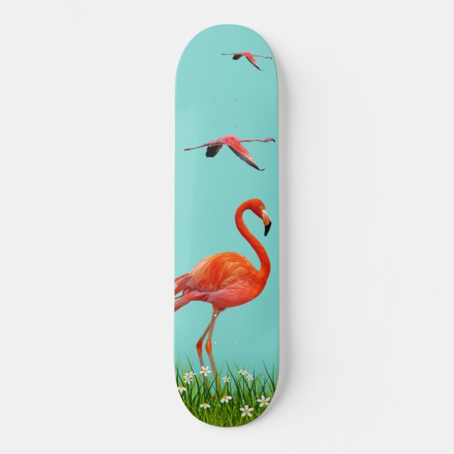 Skate Belos Flamingos em Azul Turquesa Claro (Frente)