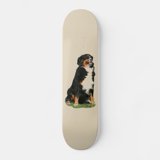 Skate Bermese Mountain dog (Frente)