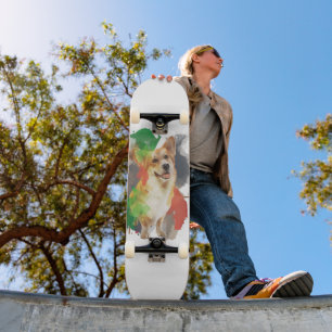 Skate Bonito Corgi.