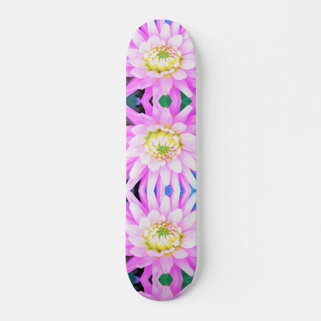 Skate Bonito rosa, branco e amarelo Cactus Dahlia Macro (Frente)