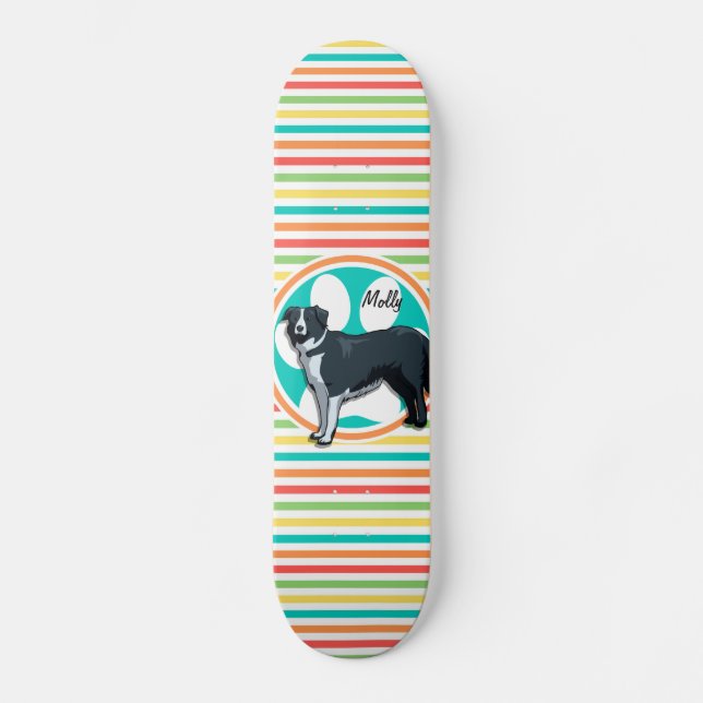 Skate Borda Collie; Bright Rainbow Stripes (Frente)