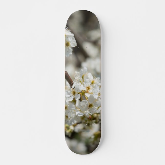 Skate Bradford Select Focus (Frente)