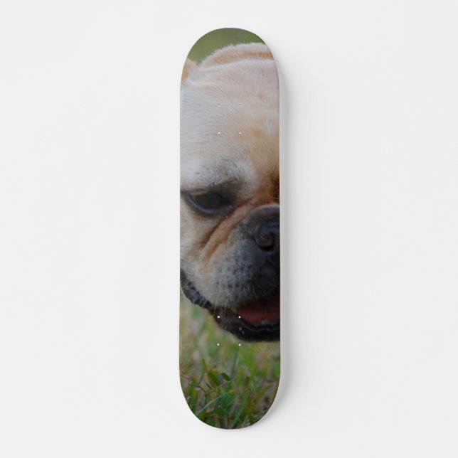 Skate Buldogue francês (Frente)