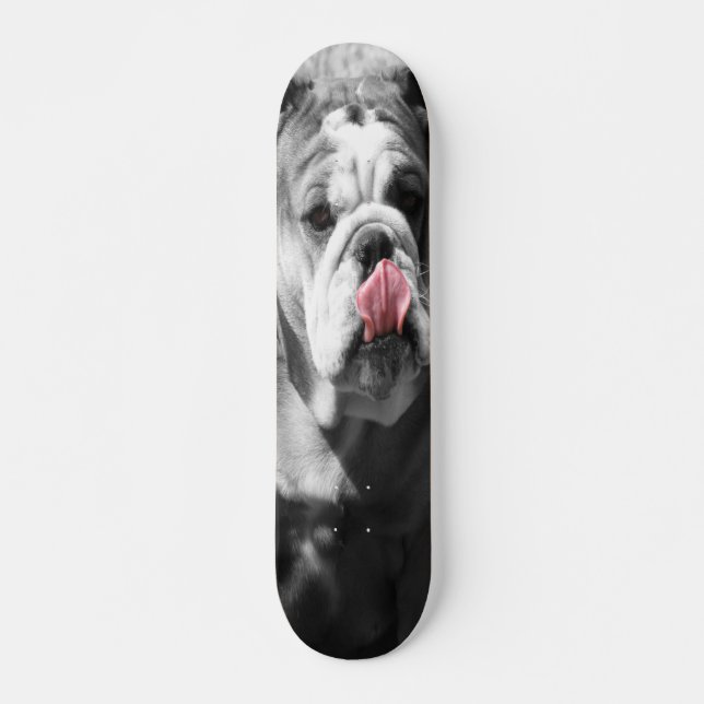 Skate buldogue inglês (Frente)