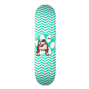 Skate Bulldog; Aqua Green Chevron