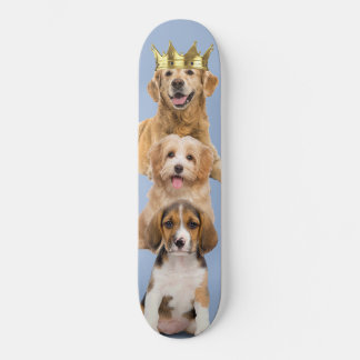 Skate Cachorro