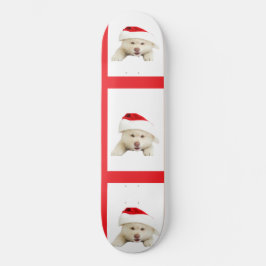 Skate Cachorro de Natal Fofo