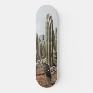 Skate Cactus Oasis #1 #wall #decor #art
