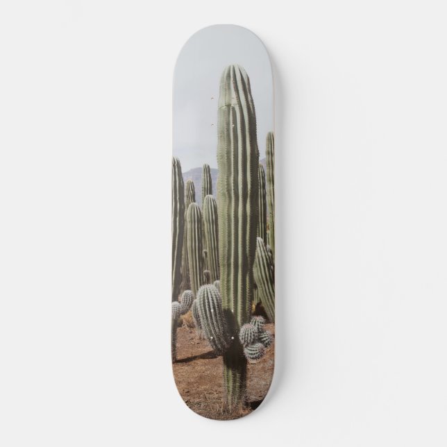 Skate Cactus Oasis #1 #wall #decor #art (Frente)