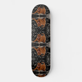 Skate Cães Engraçados