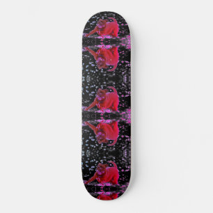 Skate Cães Engraçados