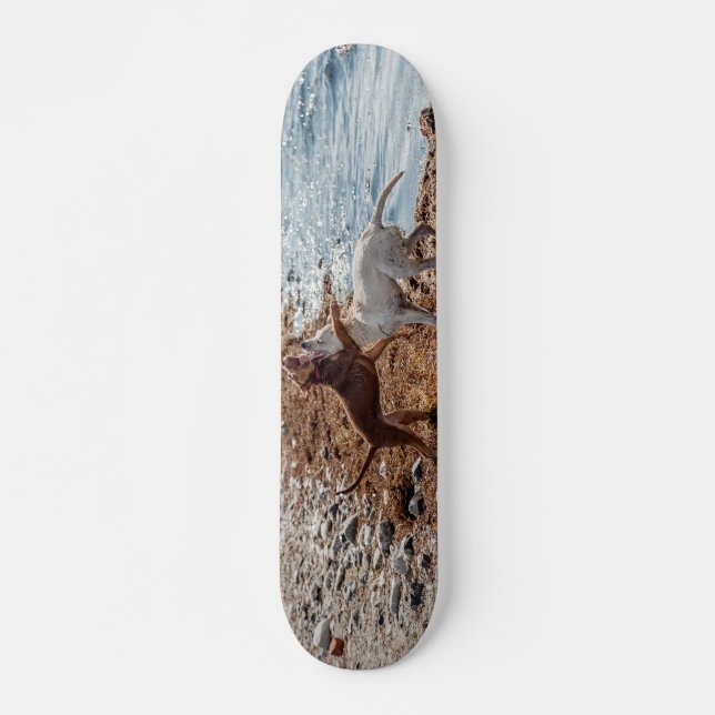 Skate Cães na praia (Frente)