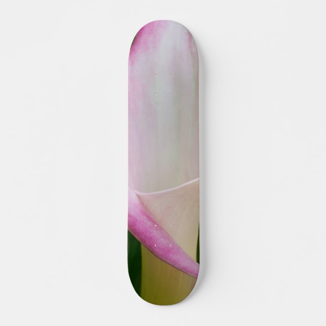 Skate Calha Pano (Frente)
