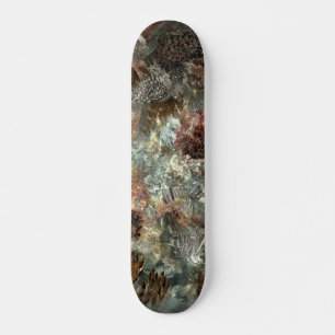 Skate Camadas Mudadas de Cristais Marrons
