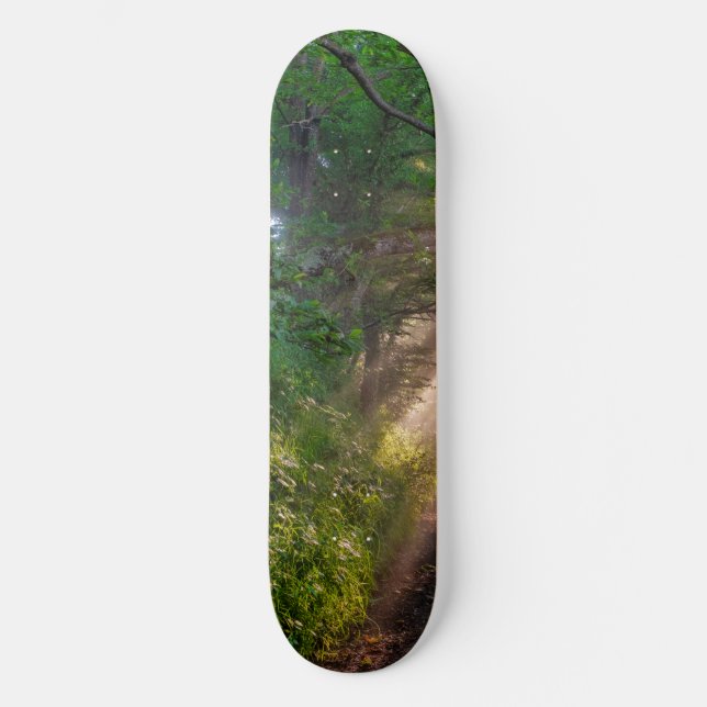 Skate Caminho da Floresta (Frente)