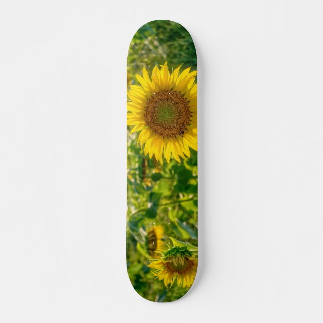 Skate Campo de girassol ouro (Frente)