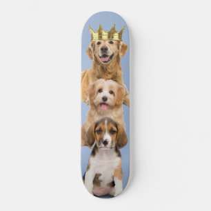 Skate Cão papa