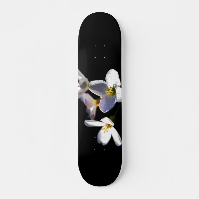 Skate Cardamine Pratensis Flowers sdcna (Frente)
