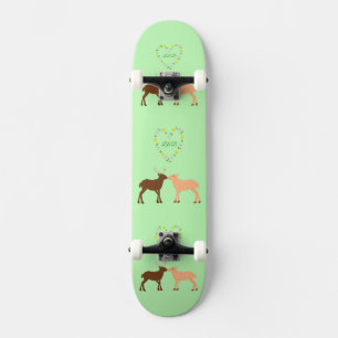 Skate Casal de veados e personalização do coração de