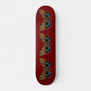 Skate Catocala fraxini