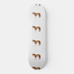 Skate Cavalo Pintado Americano Aquarela Equestre