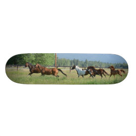 Skate Cavalos de galope