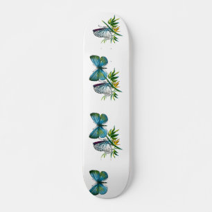 Skate Celastrina argiolus (masculino)